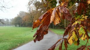 Autunno in Brianza