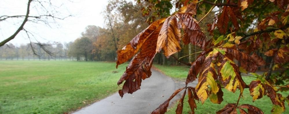 Autunno in Brianza