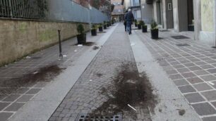 Monza Atti vandalici via Lambro
