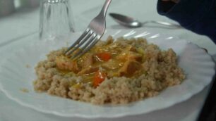 Cuscus vegano in mensa alla scuola elementare di Vimodrone