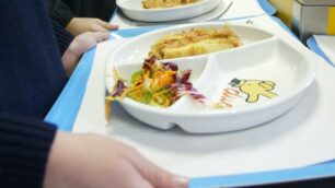 L’insalata biologica servita alla mensa scolastica non piace e Vimercate la toglie dal menù