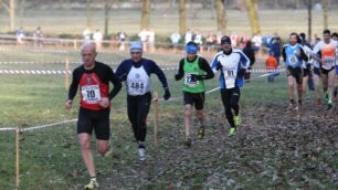 Monza, di corsa nel parco - foto di repertorio