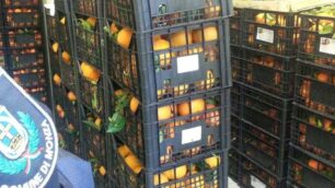 Monza, la polizia locale sequestra arance e mandarini nel piazzale cimitero