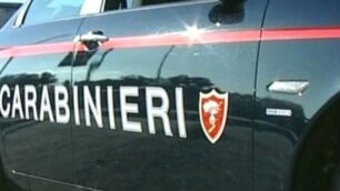Sono intervenuti i carabinieri di Vimercat