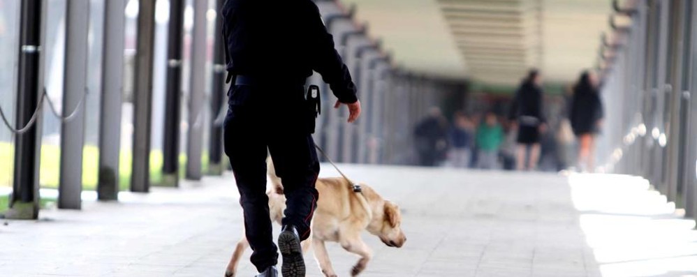 Controlli antidroga in una scuola