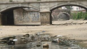 Il fiume Lambro in secca a Monza