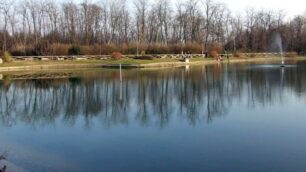 Parco del Bosco urbano e laghetto di Lissone