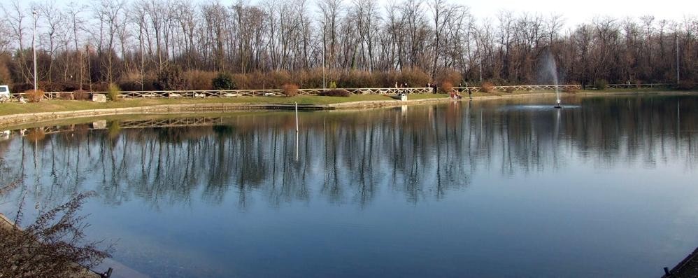 Parco del Bosco urbano e laghetto di Lissone