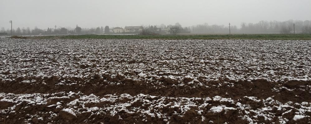 Meteo, la spolverata di neve in Brianza di gennaio 2016