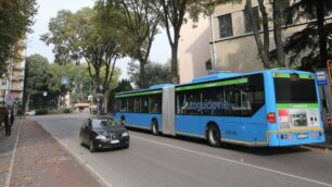 Un autobus della Linea 203