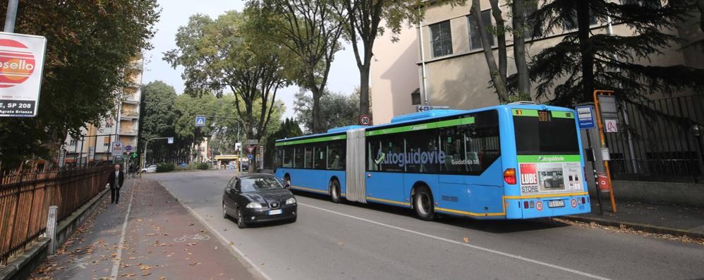 Un autobus della Linea 203