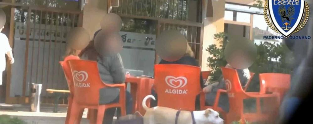 Una delle immagini del filmato della polizia locale di Paderno