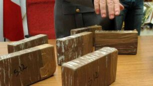 La droga è stata distrutta a Piacenza