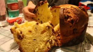 MONZA PANETTONE