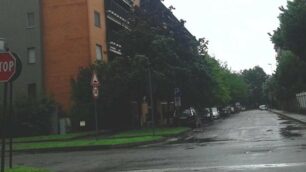 MUGGIO via Manara