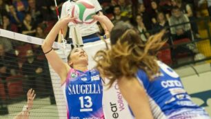 Volley, Saugella Monza: Dall'Igna