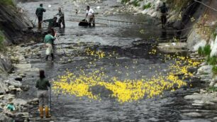 Cesano, la prima edizione della regata di paperelle sul fiume Seveso