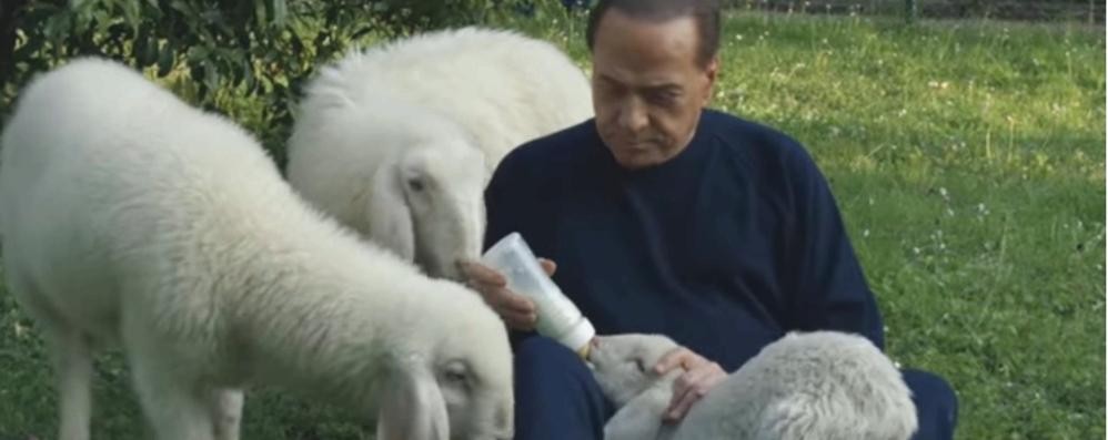 Arcore, Berlusconi e gli agnelli a Villa San Martino