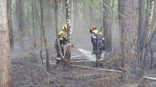 Incendio Cogliate Pasqua: al lavoro lunedì mattina