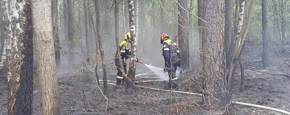 Incendio Cogliate Pasqua: al lavoro lunedì mattina