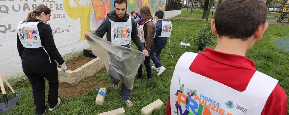 MONZA pulizie di primavera parchetto via Buonarroti