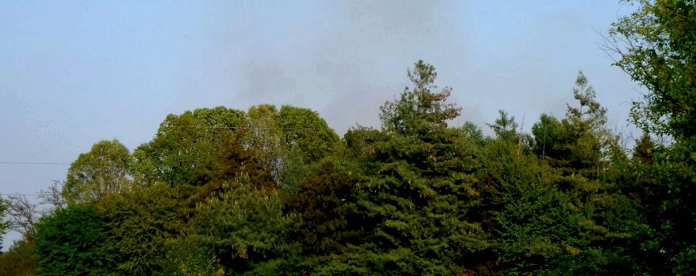 Triuggio, incendio sottobosco - foto Terraneo