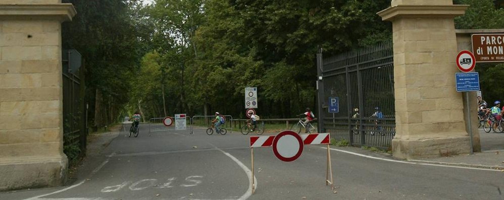 Monza-Villasanta, il parco e viale Cavriga chiudono per vento - foto d’archivio