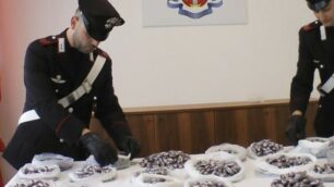 La droga sequestrata dai carabinieri di Seregno a Barlassina: il pusher era residente a Brugherio