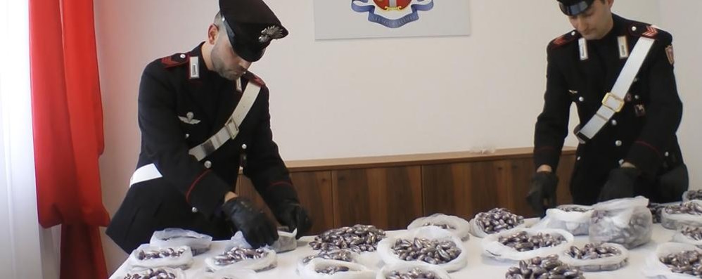 La droga sequestrata dai carabinieri di Seregno a Barlassina: il pusher era residente a Brugherio