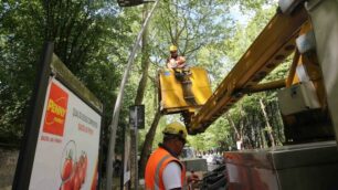 Lavori in viale Regina Margherita