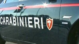 L’uomo è stato scovato dai carabinieri di Trezzo