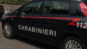 Sul posto sono arrivati i carabinieri