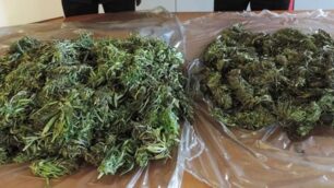 Un sequestro di marijuana