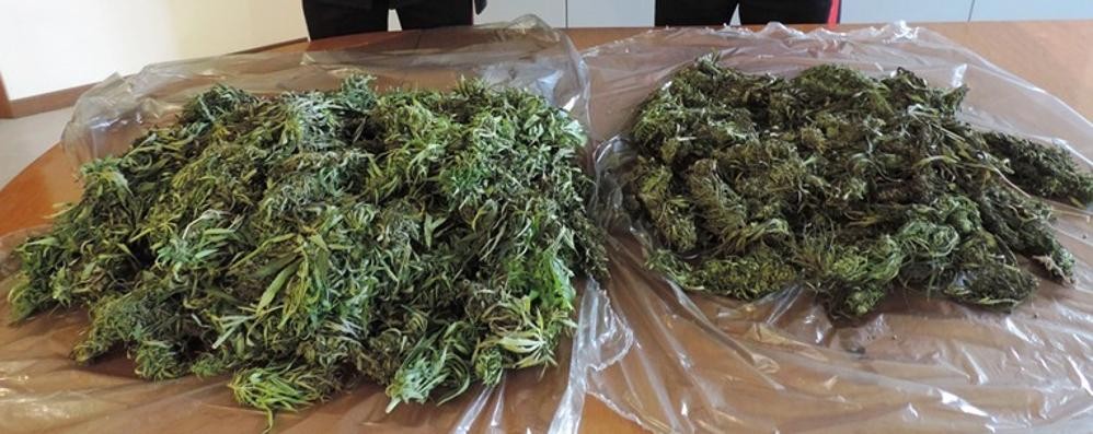 Un sequestro di marijuana