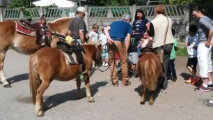 Progetto Ats: animali a scuola