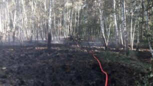 Incendio parco delle Groane a Ceriano Laghetto 18-19 giugno 2017 - foto Parco delle Groane