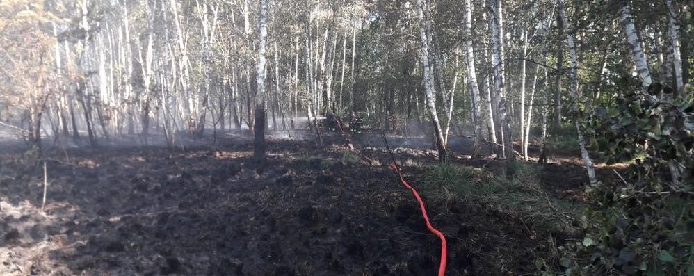 Incendio parco delle Groane a Ceriano Laghetto 18-19 giugno 2017 - foto Parco delle Groane