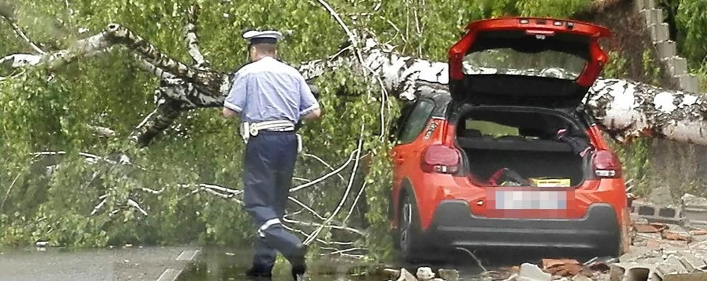 Seregno, l'albero caduto su un'auto in via Messina