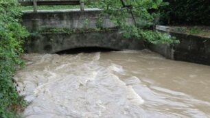 Lentate sul Seveso Seveso monitorato in via Tintoretto