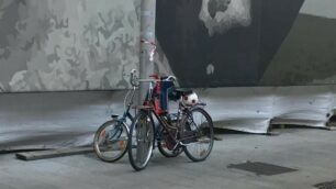 Monza, bicicletta con seggiolino per bambini