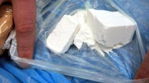 Cocaina