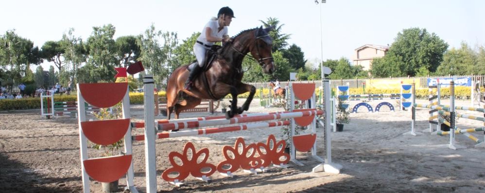 Il campionato italiano Sef Italia di Dressage-salto ostacoli- pony games in corso a Seregno località Dosso ( foto Volonterio)