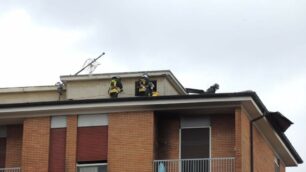 Temporale e vento: danni del maltempo in Brianza