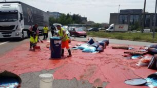 Agrate incidente fusti pomodoro concentrato