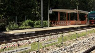 Ordinanza ispirata da Rfi: occorre tagliare rami e alberi vicini ai binari