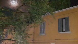 arcore bufera, albero pubblico sul tetto di una casa al Bruno