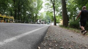 Monza Parco viale Cavriga