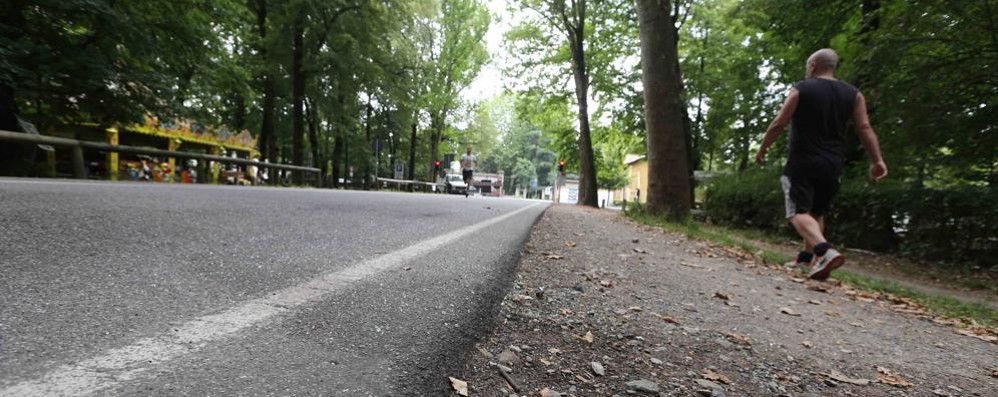 Monza Parco viale Cavriga