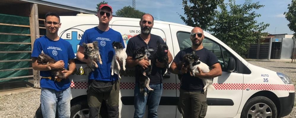 I cagnolini salvati dall’Enpa