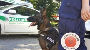 Brillante operazione della polizia locale di Monza